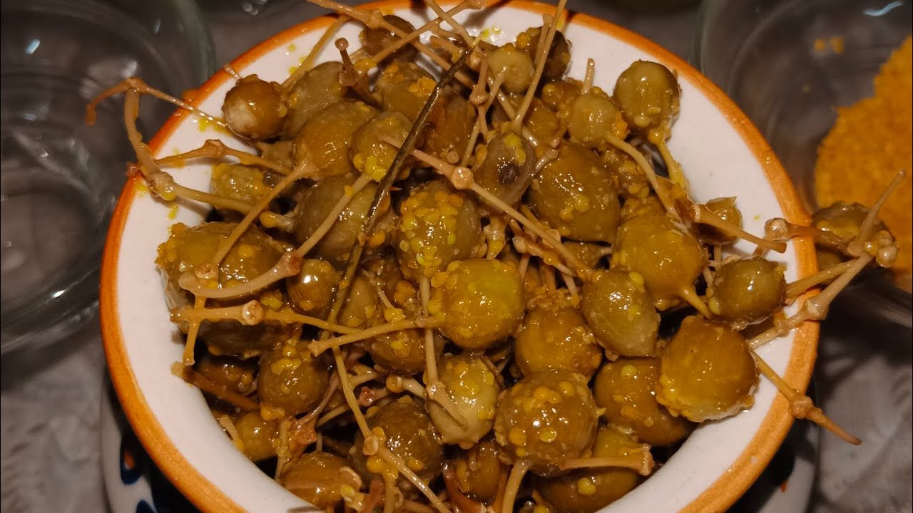 Kerda Nu Athanu Kerda Pickle Gujarati Vangi Ragini's Kitchen