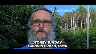 STONEY SUNDAY GARDEN CRUZ - 9/20/26