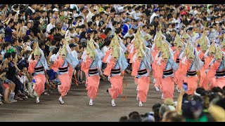 阿波踊り 17 有名連 うずき連 Awa Odori 17 4k60p Youtube 阿波踊り 17 有名連 うずき連 Awa Odori 17 4k60p Youtube