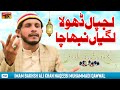 Lajpal Dhola Lagian Nibha Cha | Imam Bakhsh Ali Khan Naqeebi Muhammadi Qawwal | TP Qawwali