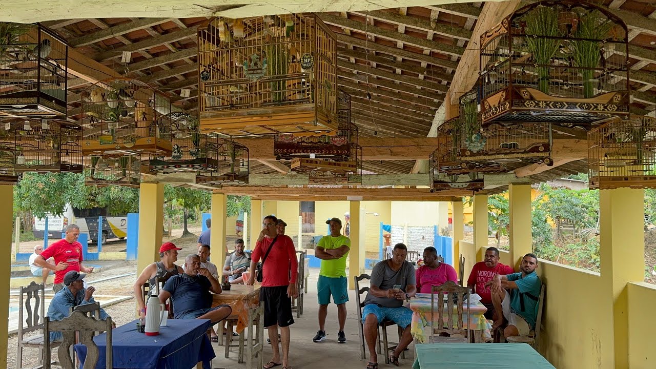 CAMPEADA NOBRE RIO DOCE COLEIRO CHAMA ATENÇÃO ROUBA A CENA E FAZ HISTÓRIA 😱  #papacapim