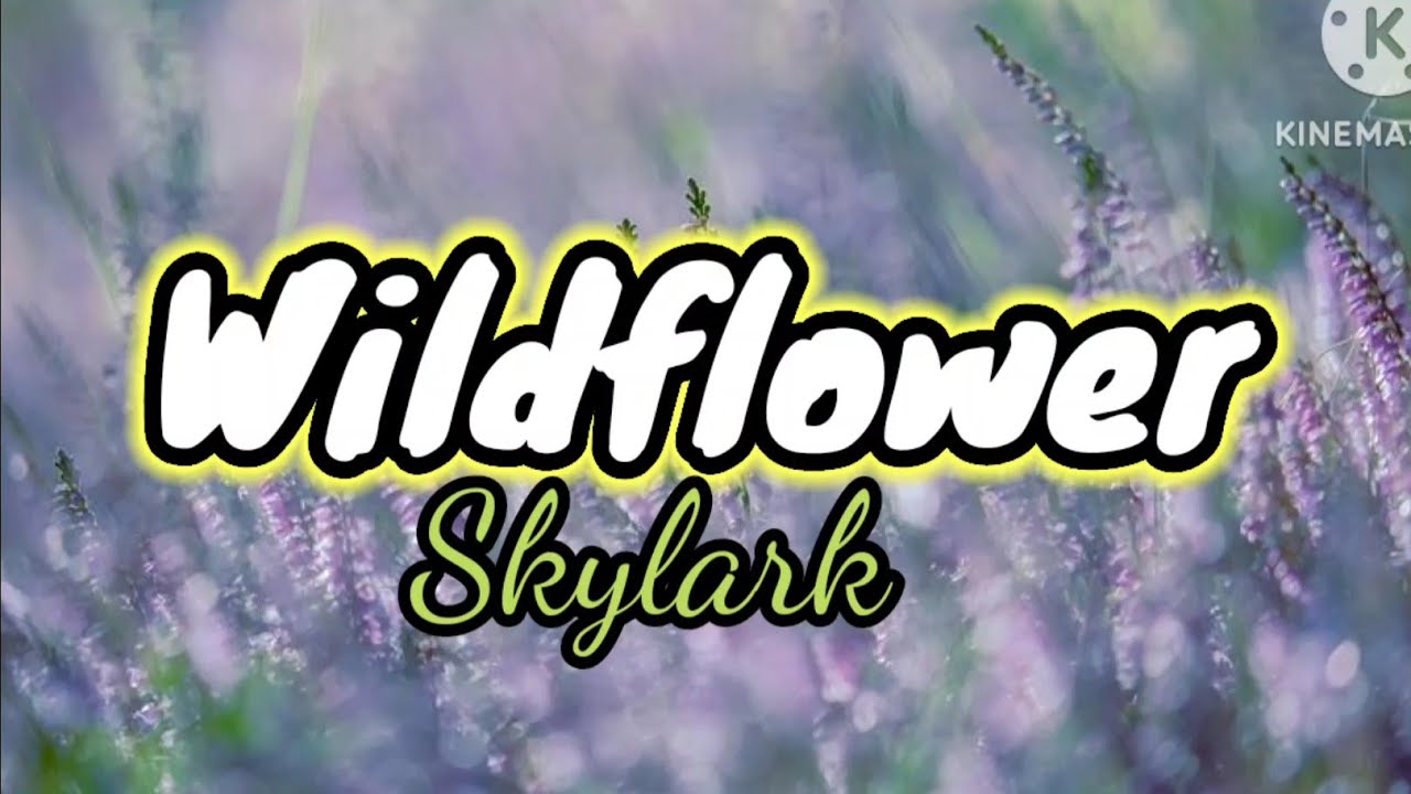 Skylark - Wildflower (Lyrics) #Skylark #Wildflower - YouTube