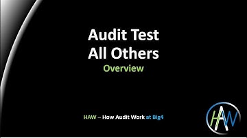 Audit Test - All Others course Overview - How Audit Work at Big4