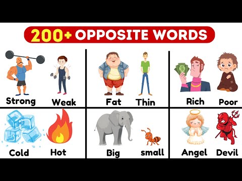 📚👨‍🎓Master 200 Opposite