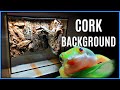 Building a Vivarium Background - NO FOAM, ALL CORK! Vivarium Build | Big Bioactive Vivarium Build #1