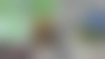 Extraction equipment process | CBD Centrifugal Extraction