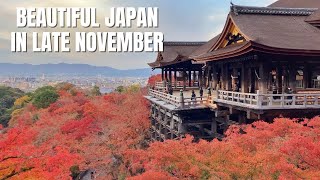 Autumn In Japan | Happy Trip