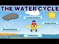 Mastering The Water Cycle: Phases And Processes