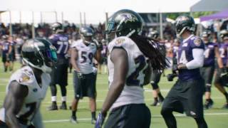 Can't-Miss Highlights From Training Camp Week 2 | Baltimore Ravens