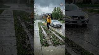 How One Horrible Parking Strip Became the Talk of the Block #viral #transformation