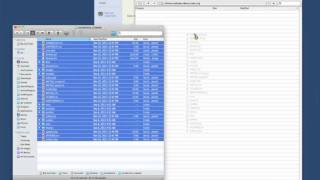 Template Installation: Sections 1-4 (Long Version)