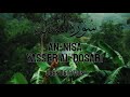 Surah An Nisa For Sleep Studying With Rain Yasser Al Dosari Deen Devotion 