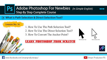 How To Use Path Selection and Direct Selection Tool in Photoshop | Photoshop For Newbies Lesson No14