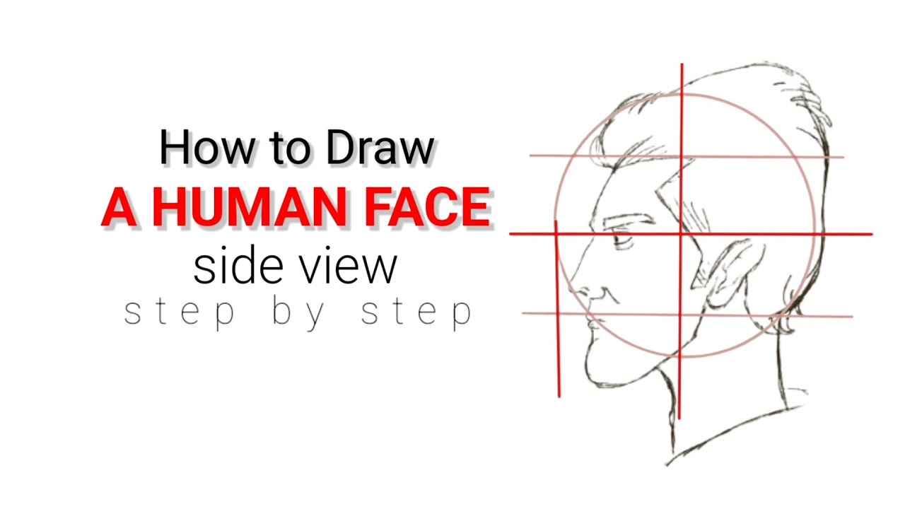 How to draw a side view of the Human Face with LOOMIS METHOD # ...