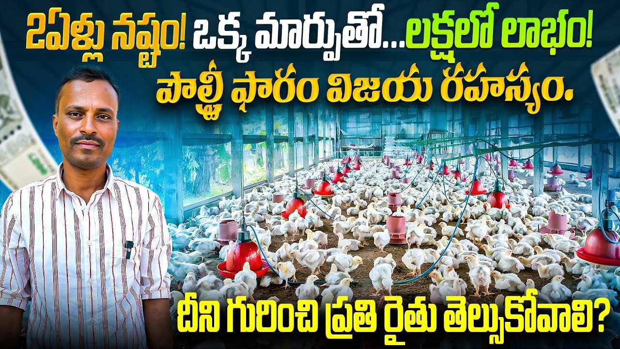 💸Poultry Farmer Success Story | 🙏ఇది ప్రతి రైతుకు తెలియలి | 💥ఇప్పుడు డబుల్ income వస్తుంది 💲