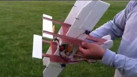 Wright Flyer Dollar Tree R/C Plane Foam Update