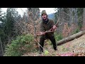 Shed hunting 2024, Episode 04 (Slovenia)/Zhody 2024 Dwa Pięknya Swieża Zrzuta Dziesiątaka