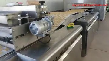 soft biscuit production line rotary moulder Skywin factory