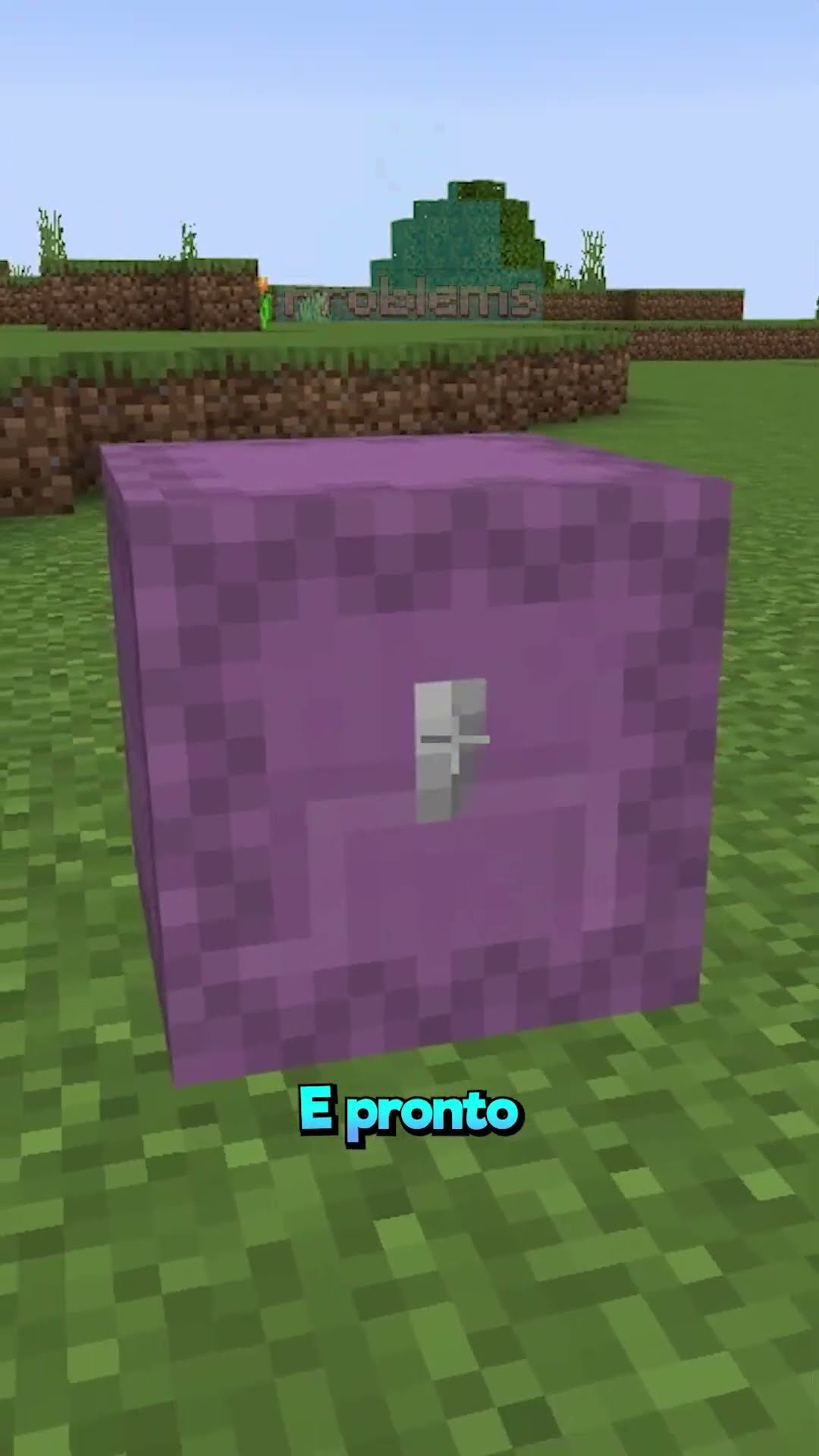 Baú Shulker Diferente...
