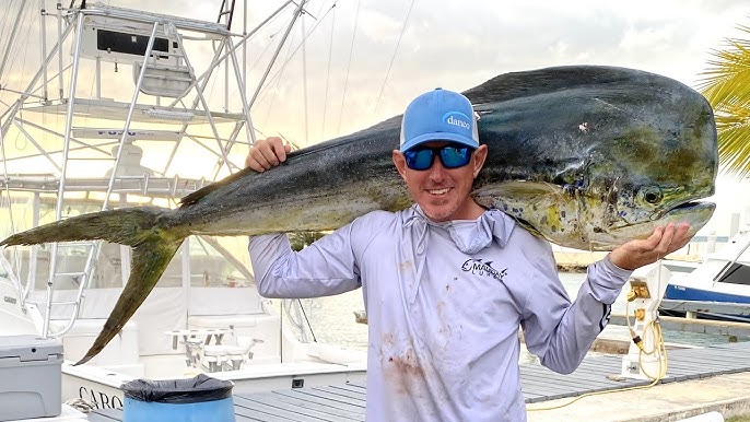 MASSIVE *NEEDLE FISH* Catch Clean & Cook (Cabo,Mexico) 