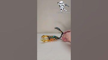 Beast Wars Fuzors Quickstrike Transformation #transformers #beastwars #shorts