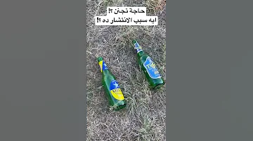 انتشار الخمر في شوارع مصر ايه السبب وليه بيحصل تغيب لوعي الناس 