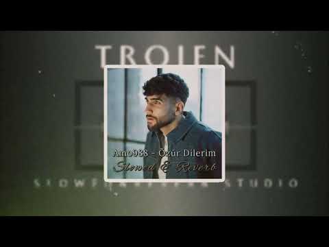 Amo988 Özür Dilerim 𝑺𝒍𝒐𝒘𝒆𝒅 𝑹𝒆𝒗𝒆𝒓𝒃