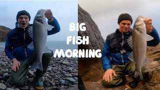 THEY JUST LOVE THIS LURE  BIG BASS MORNING  FISHING FOR BASS USING LURES  ROBALO PESCA LUBINA