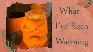 What I’ve Been Warming: lots of Scentsy and some TB’s