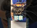 白い泡を吐いてぐったりしている17歳ネコが動物病院にやって来た!