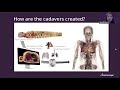 Learn the basics of the anatomage table