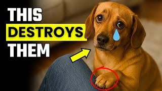 7 Things That SECRETLY HURT Your Dog Emotionally