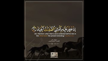 ووهبنا لداود سليمان نعم العبد إنه أواب... القارئ اسلام صبحي