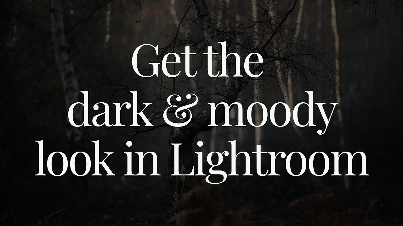 How to get a dark and moody look for your photos using Lightroom YouTube