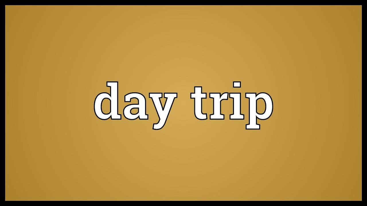 day trip meaning urban dictionary