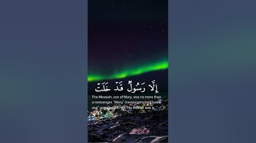 أفلا يتوبون إلي الله و يستغفرونه و الله غفور رحيم || القارئ: شريف مصطفي