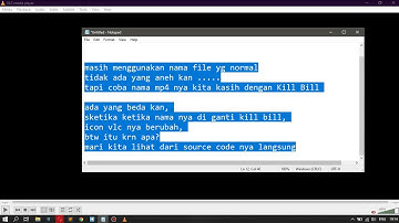 VLC Kill Bill Easter Egg Reverse
