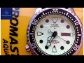 Citizen Promaster Aqualand Full Lume NY0040-09w (Storia e Recensione)