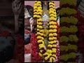 জম মা #sorts #soma blogs 🙏