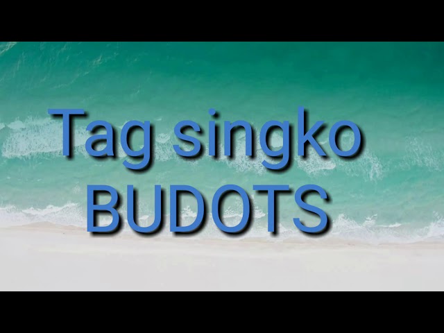Tag singko (BUDOTS) class=