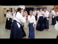 Aikido Seminar: Donovan Waite Shihan in Colorado