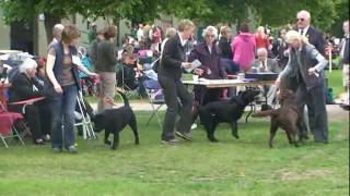 3 Counties 2011 Dog CC - Fullwell Fly High to Halshimoor