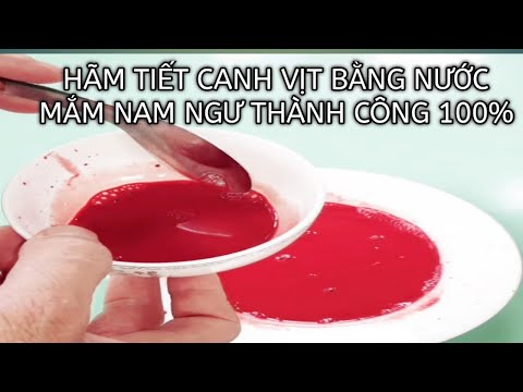 Hướng dẫn chi tiết hãm tiết canh vịt bằng nước mắm nam ngư siêu tiết kiệm thành công ngay lần đầu