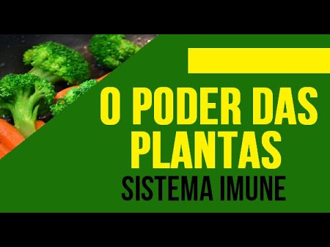 AS PLANTAS NÃO ESTÃO INDEFESAS - o sistema imune das plantas