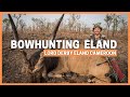 BOWHUNTING ELAND IN AFRICA 💥 CAMEROON LORD DERBY GIANT ELAND 💥 SPOT AND STALK HUNTING PLAINS GAME