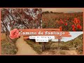 CAMINO DE SANTIAGO - DAY 4 // uterga - maneru