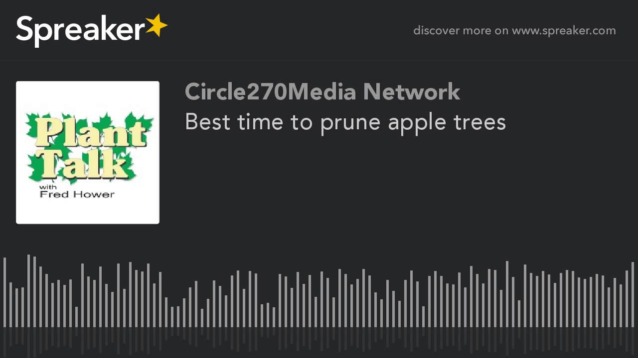 Best time to prune apple trees - YouTube