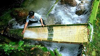 Download Lagu How to weave bamboo baskets to trap fish, the daily work of a single girl - Phùng Thị Chài MP3 Download Lagu How to weave bamboo baskets to trap fish, the daily work of a single girl - Phùng Thị Chài MP3