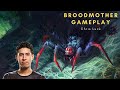 Chris Luck - Broodmother Midlane | Patch 7.28b | Player Perspective - Dota 2 Gameplay