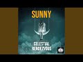 Celestial rendezvous (Luigi Elettrico Remix)